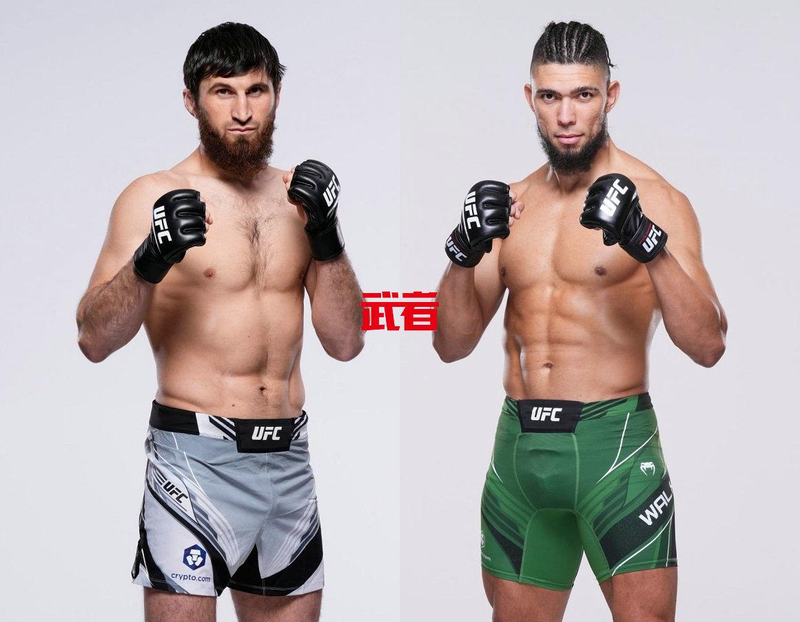 UFC-Ankalaev-Walker.jpg